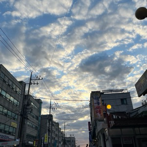뉴니커