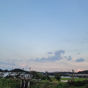 뉴니커