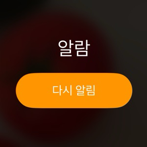 뉴니커
