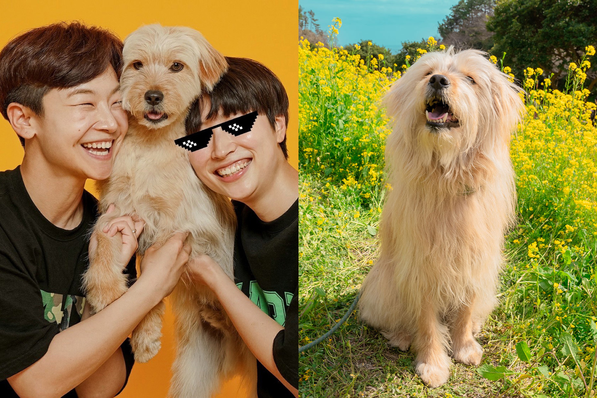 귤엔터 멤버와 금배가 활짝 웃고 있는 모습.