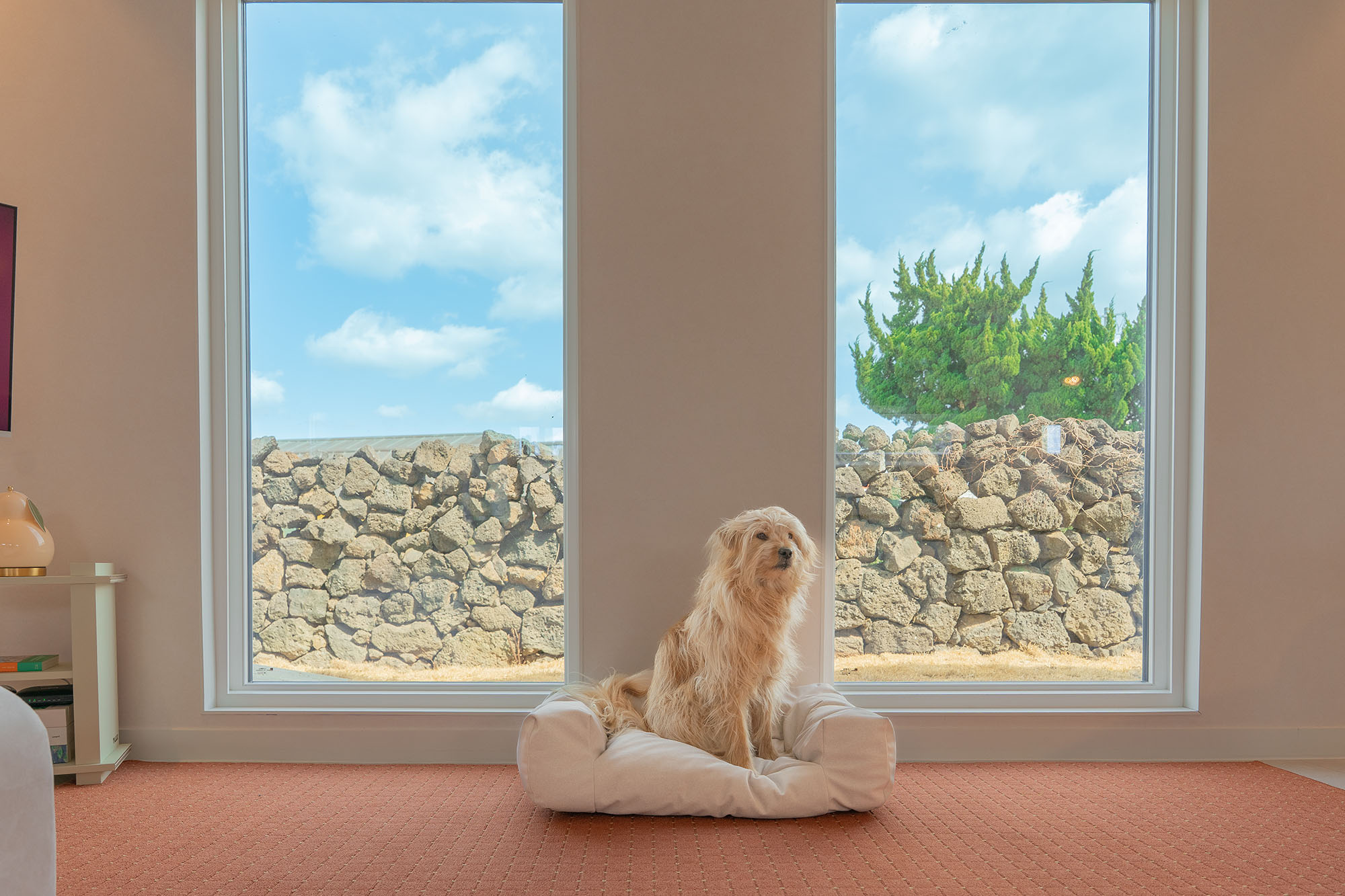 금배네민박을 즐기는 금배