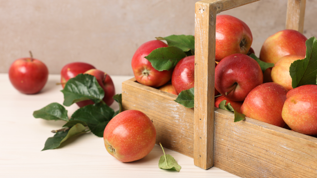 바구니에 담긴 빨간 사과들