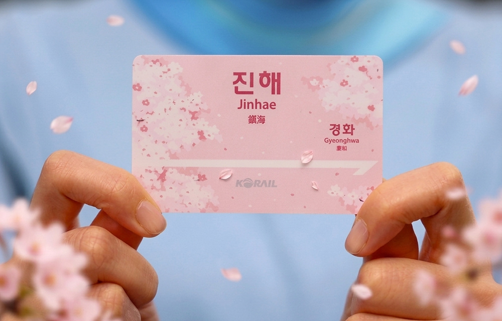 두 손으로 교통카드를 들고 보여주고 있는 모습. 교통카드는 분홍색 바탕에 벚꽃 무늬로 디자인돼 있고, 크게 '진해'라고 적힌 모습.