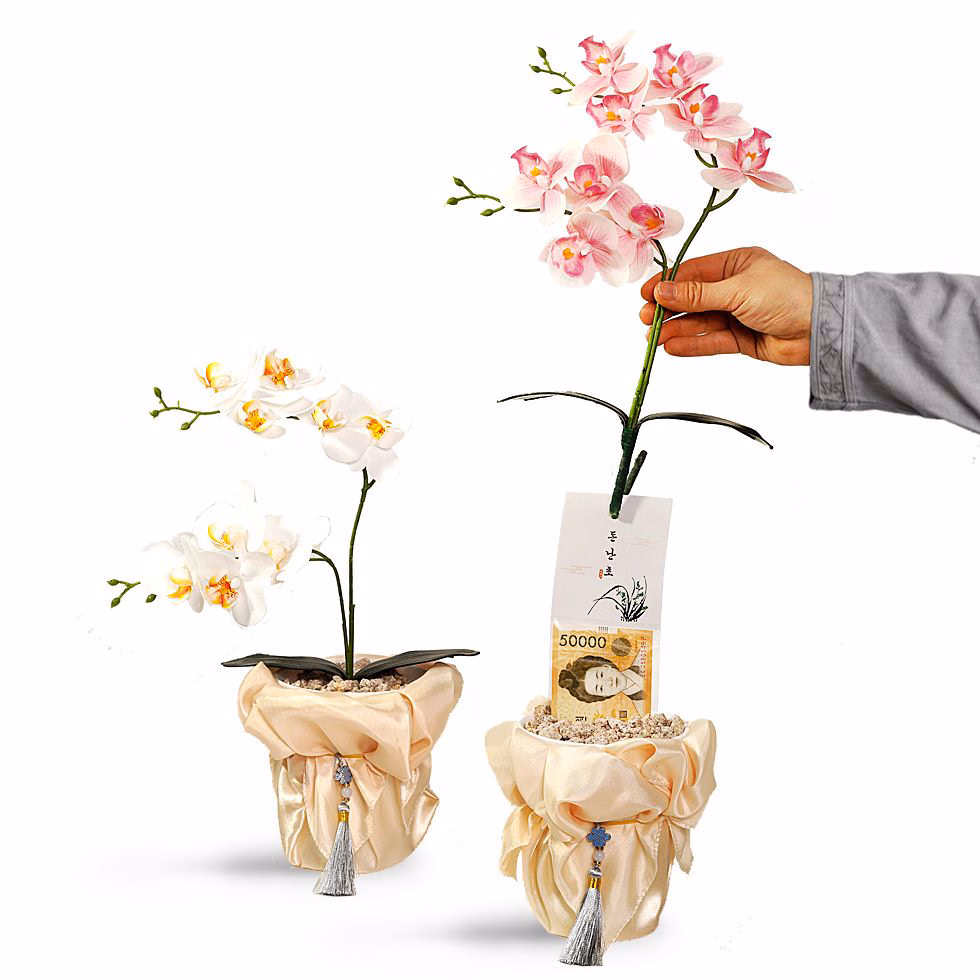 금색 보자기로 싸인 호접란 화분 2개가 놓인 모습. 오른쪽 화분은 사람 손이 호접란을 잡아당기고 있고, 호접란에 현금이 달려 나오는 모습.
