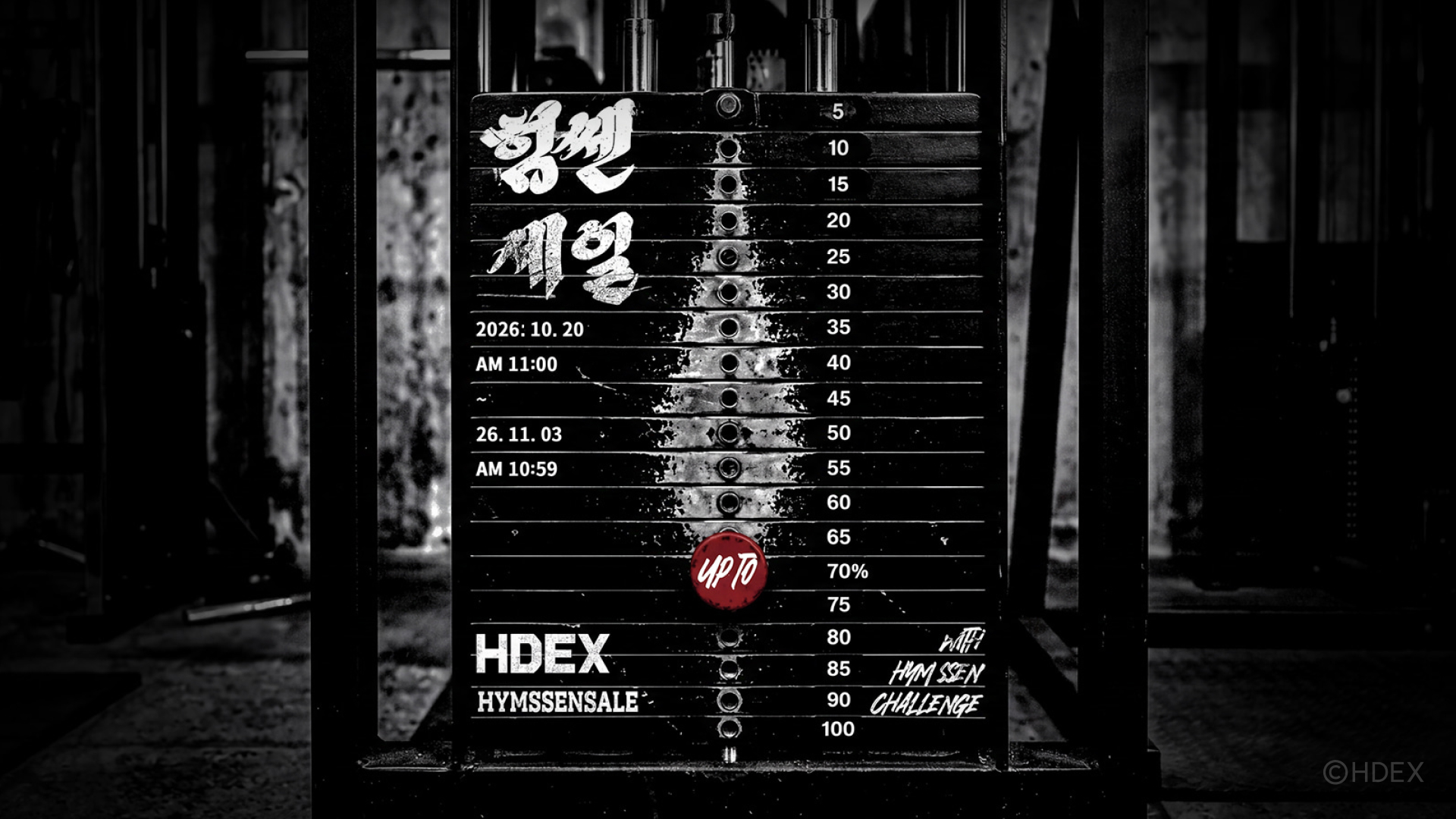 HDEX 힘쎈세일 프로모션 이미지